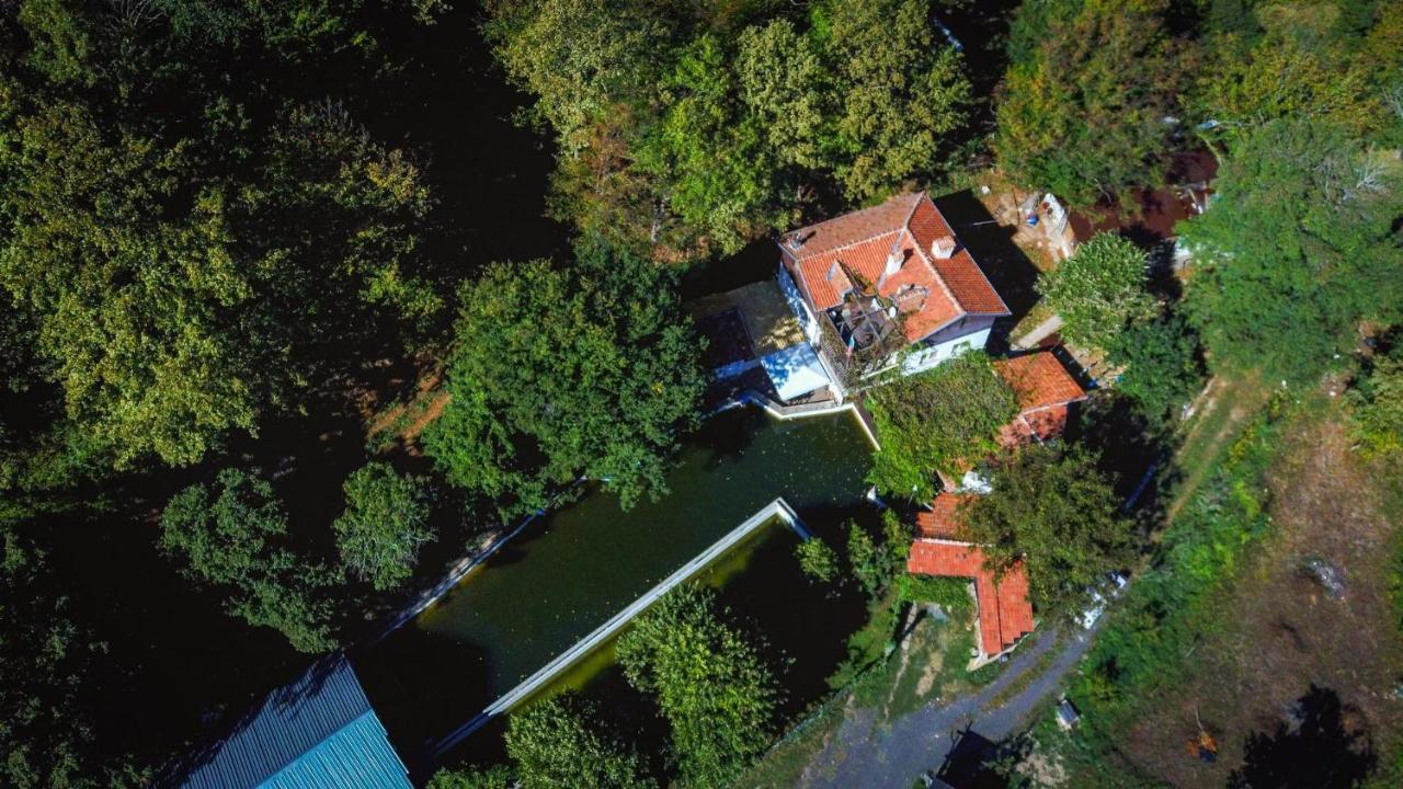 Рибарник Forest Мagic Topolitsa Esterno foto